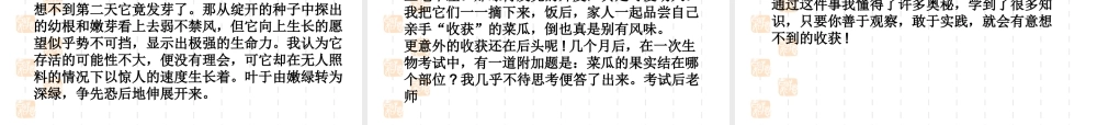 2009年中考语文作文指导课件围绕中心选择材料  江洲中学 文继明 2009年中考语文作文指导课件