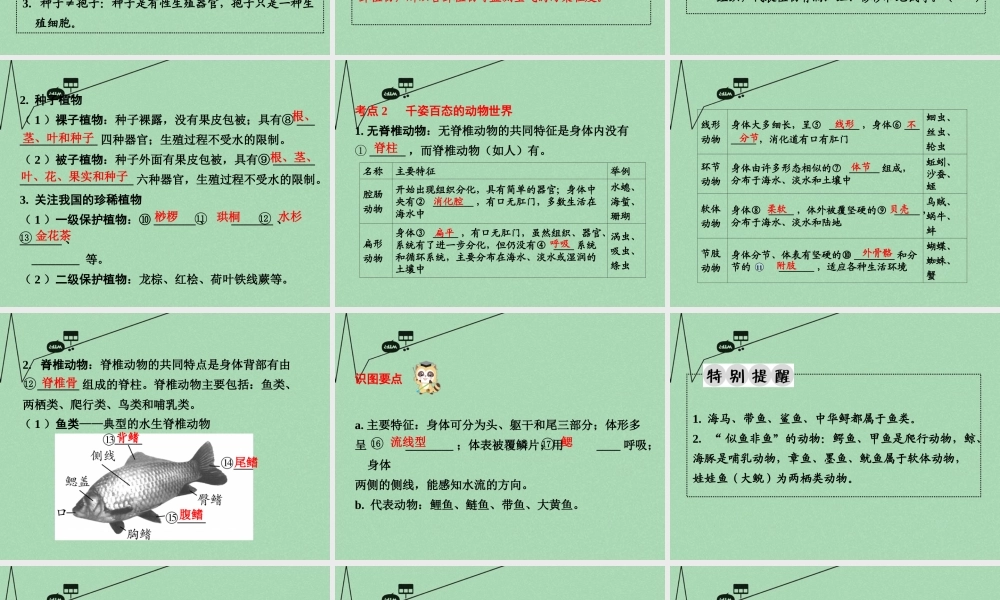 中考生物 第一部分 教材知识梳理 第5单元 第14章 丰富多彩的生物世界复习课件 苏教版 课件