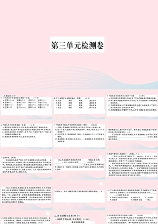 (通用版)文下册 第三单元检测卷课件 新人教版 课件