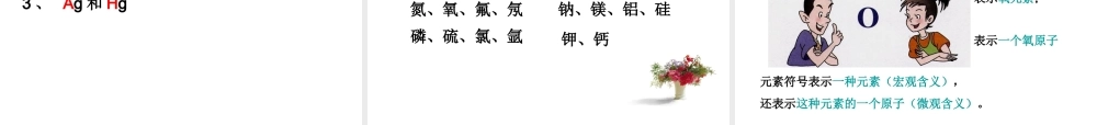 九年级化学上册 42(元素)课件 人教新课标版 课件