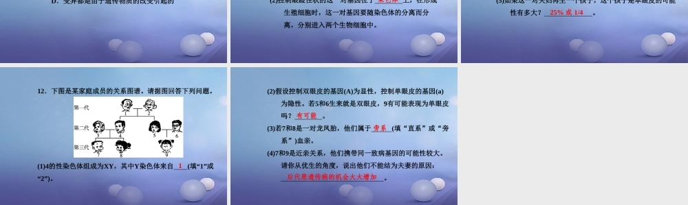 中考生物一轮复习 第七单元 第二章 生物的遗传和变异课件 新人教版 课件
