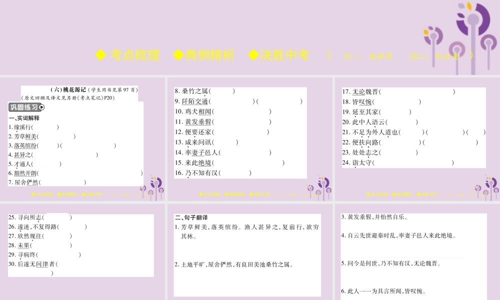 中考语文复习 第二部分 古诗文积累与阅读 专题二 文言文(六)(桃花源记)课件
