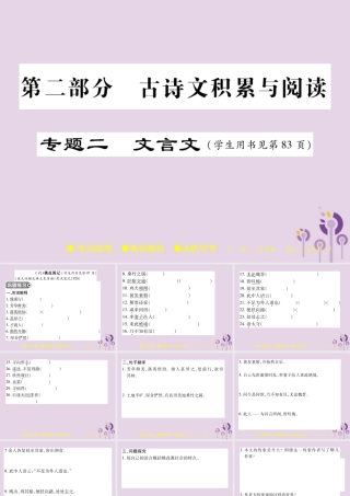 中考语文复习 第二部分 古诗文积累与阅读 专题二 文言文(六)(桃花源记)课件