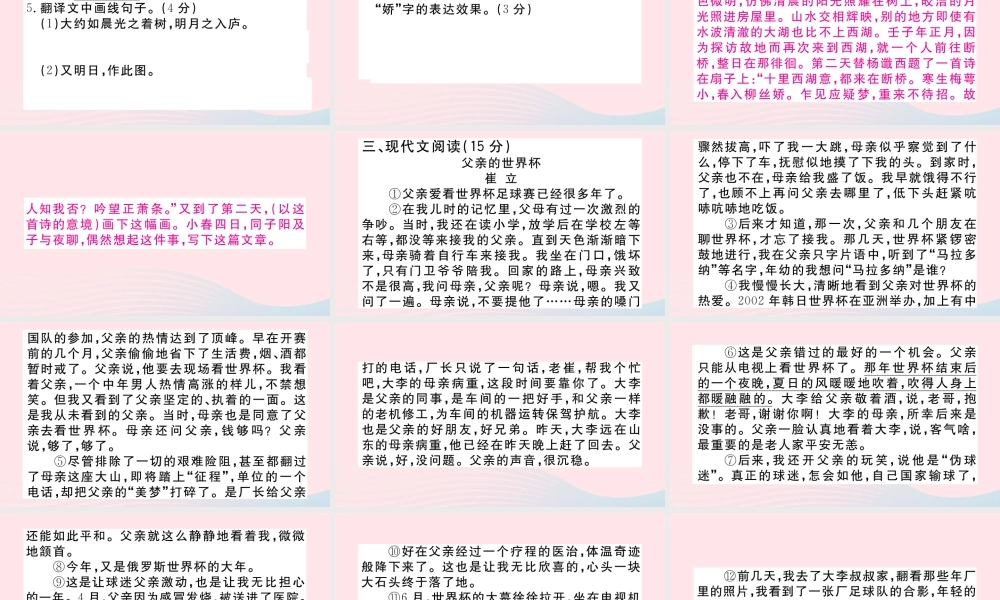 (江西专版)文下册 阅读组合训练8课件 新人教版 课件