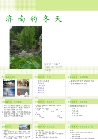 (济南的冬天)课件1 七年级语文上(济南的冬天)课件4个 苏教版