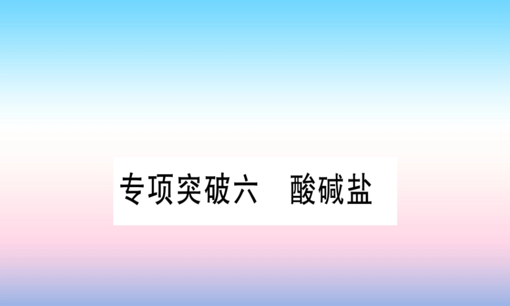 (云南专用)中考化学总复习 专项突破六 酸碱盐课件