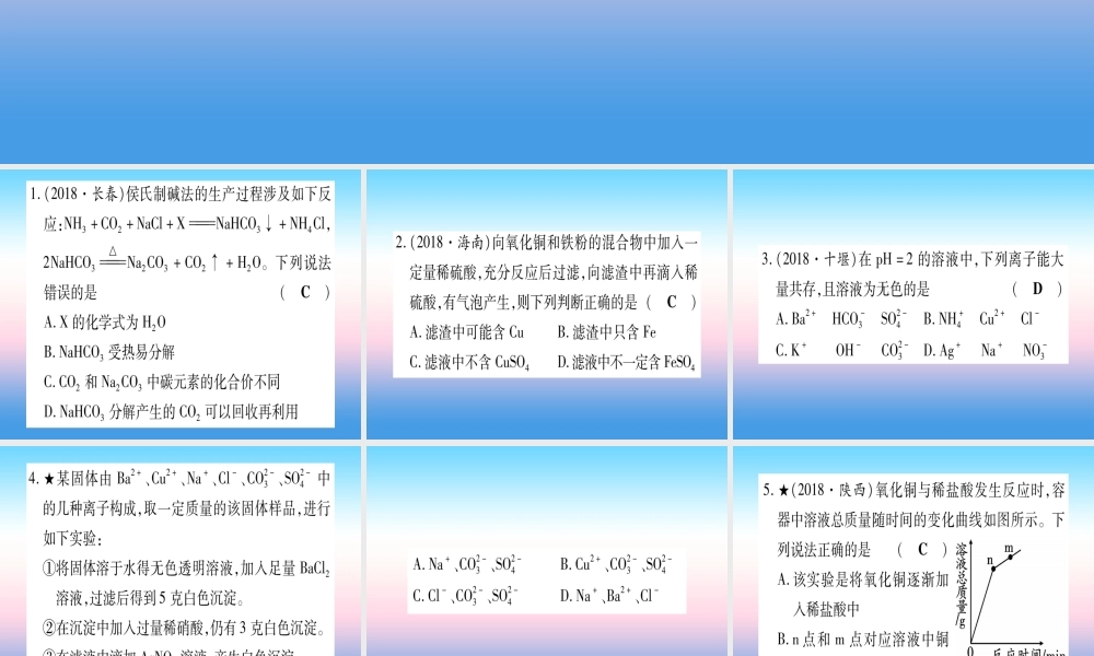 (云南专用)中考化学总复习 专项突破六 酸碱盐课件