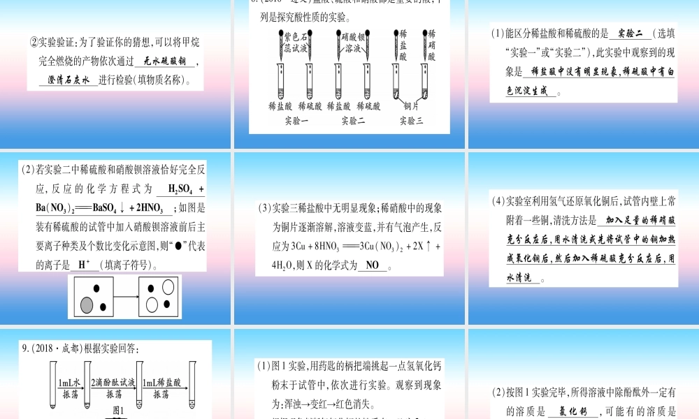 (云南专用)中考化学总复习 专项突破六 酸碱盐课件