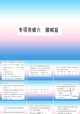 (云南专用)中考化学总复习 专项突破六 酸碱盐课件