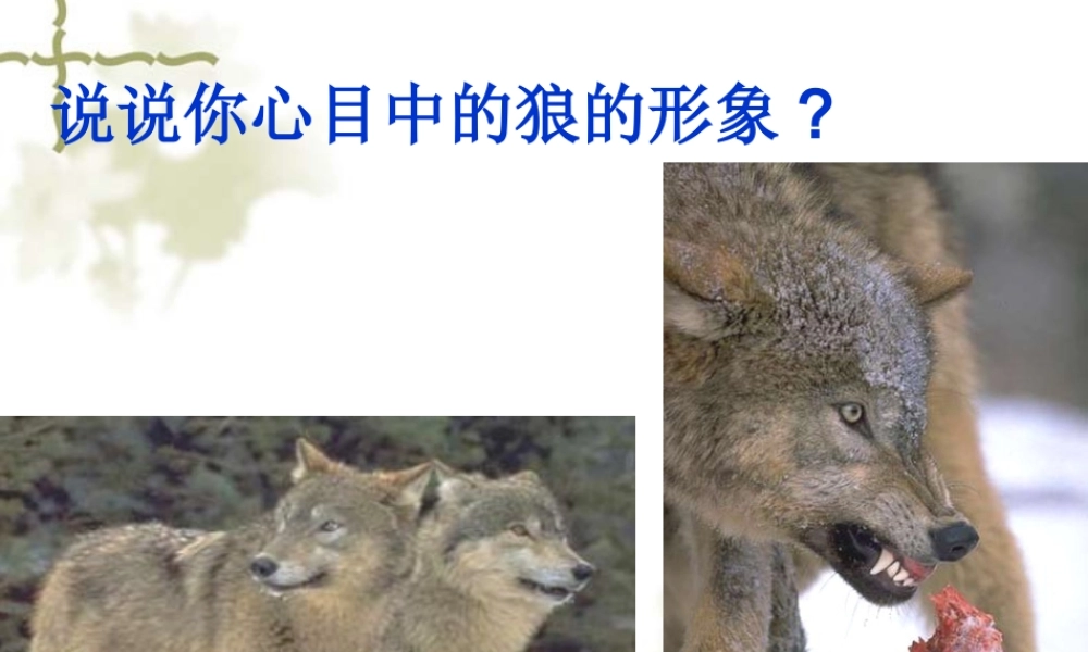 七年级下真正的英雄课件 人教版 课件