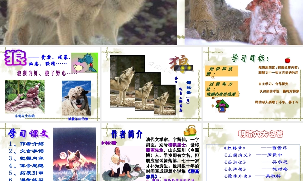 七年级下真正的英雄课件 人教版 课件