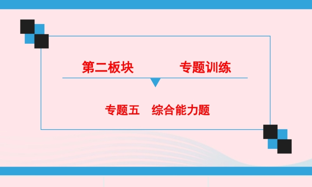 中考物理二轮复习 专题5 综合能力题课件