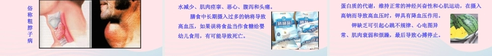 九年级化学全册 第四单元 化学与健康 第二节 化学元素与人体健康课件 鲁教版五四制 课件