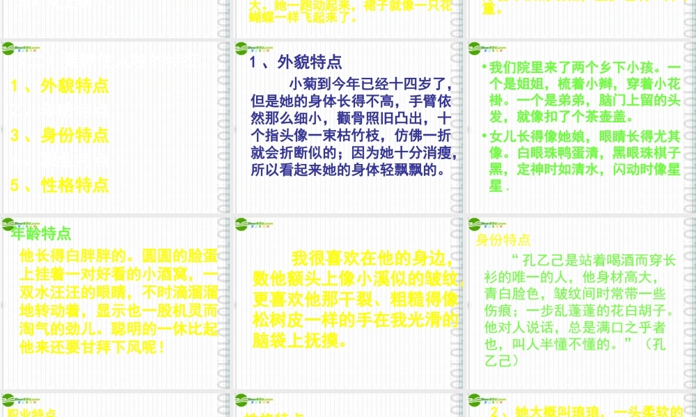 中考语文作文辅导 肖像描写课件 人教新课标版 课件