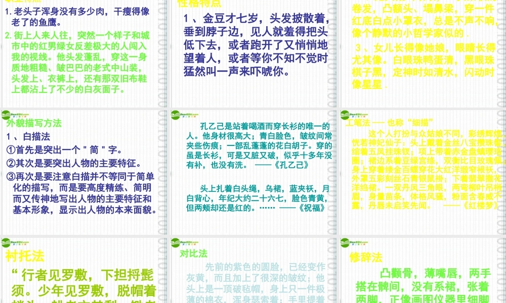 中考语文作文辅导 肖像描写课件 人教新课标版 课件