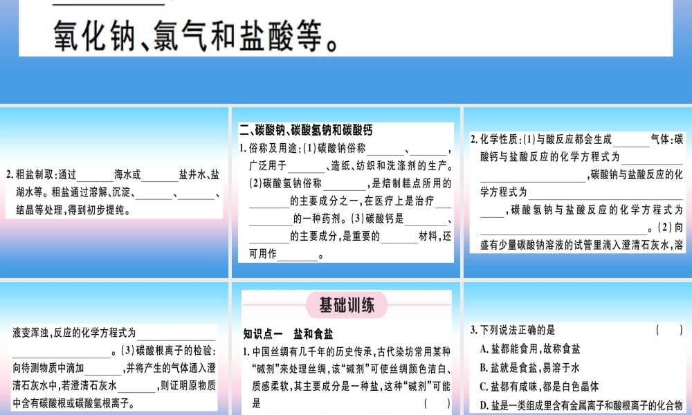 九年级化学下册 第十一单元 盐 化肥 第1课时 氯化钠、碳酸钠、碳酸氢钠和碳酸钙习题课件 (新版)新人教版 课件
