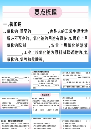 九年级化学下册 第十一单元 盐 化肥 第1课时 氯化钠、碳酸钠、碳酸氢钠和碳酸钙习题课件 (新版)新人教版 课件