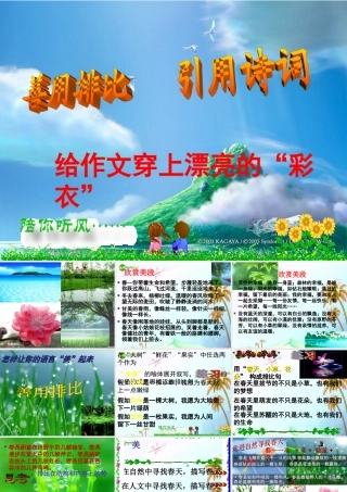 中考语文作文复习 怎样让你的语言 美 起来课件