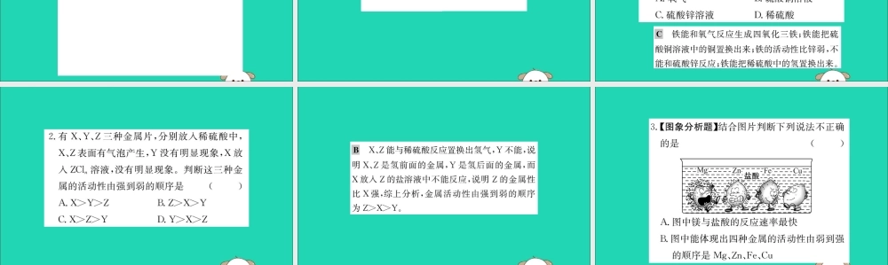 九年级化学下册 第八单元 金属和金属材料 82 金属的化学性质训练课件 (新版)新人教版 课件