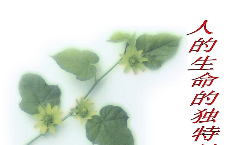 七年级政治人的生命的 独特性课件 新课标 人教版 课件