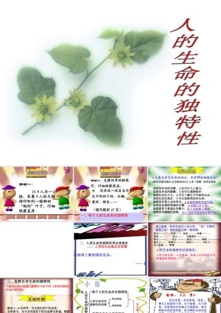 七年级政治人的生命的 独特性课件 新课标 人教版 课件