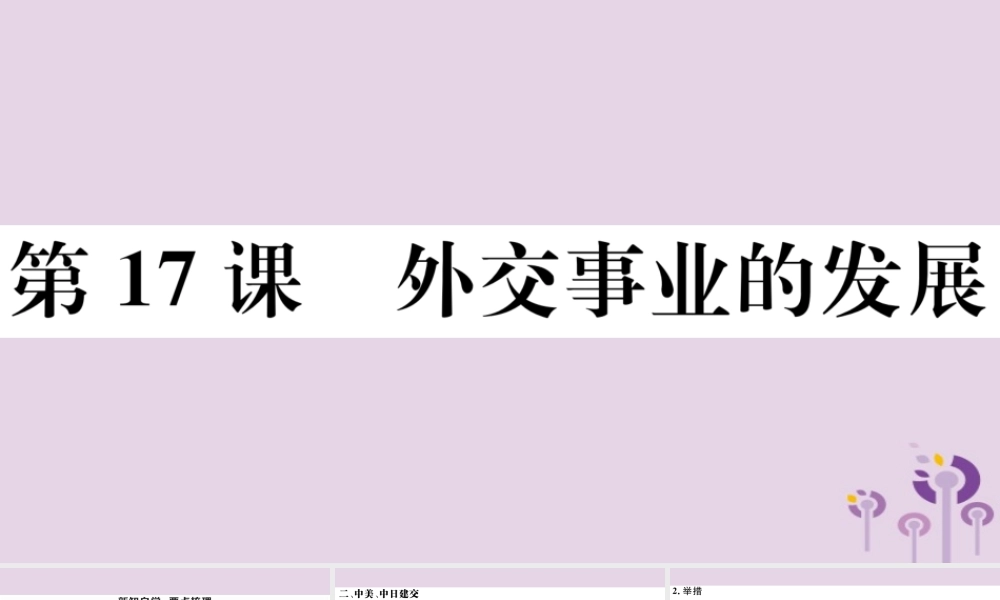 (玉林专版)八年级历史下册 第五单元 国防建设与外交成就 第17课 外交事业的发展习题课件 新人教版 课件