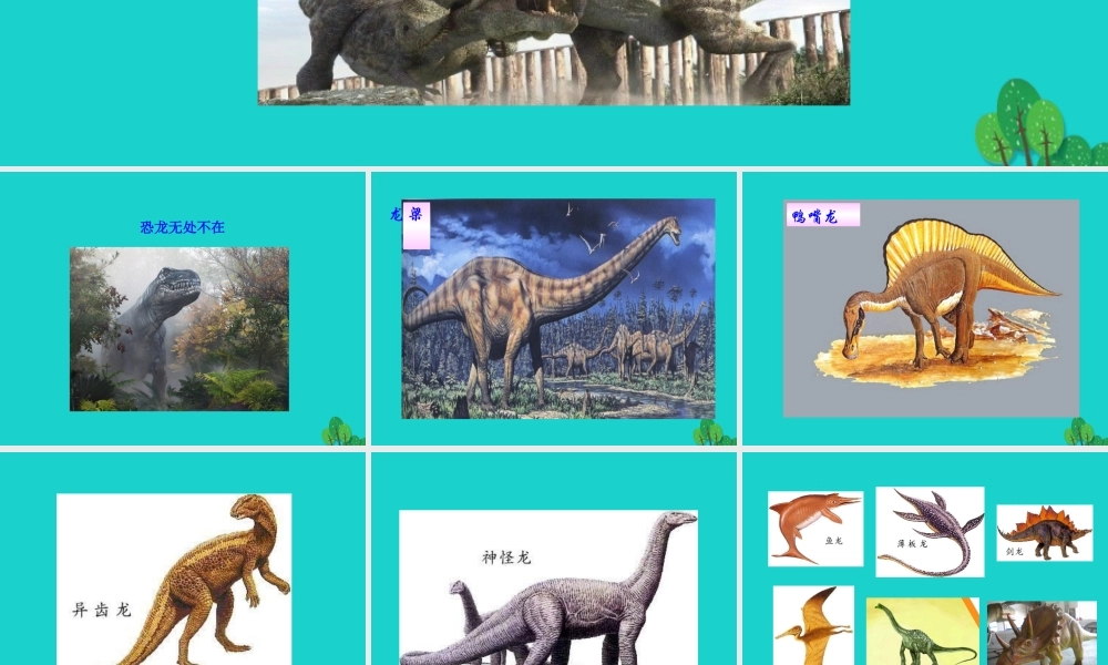 6 阿西莫夫短文两篇课件 八年级语文下册 第二单元 6 阿西莫夫短文两篇课件 新人教版 八年级语文下册 第二单元 6 阿西莫夫短文两篇课件 新人教版