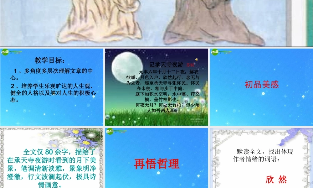 九年级下册第四单元之(苏轼咏月诗文)课件