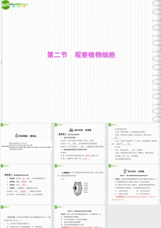 (随堂优化训练)七年级生物上册 第二单元 第一章 第二节 观察植物细胞配套课件 人教新课标版 课件