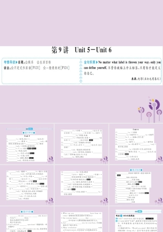 中考英语总复习 第一部分 系统复习 成绩基石 八上 第9讲 Unit 5 6课件