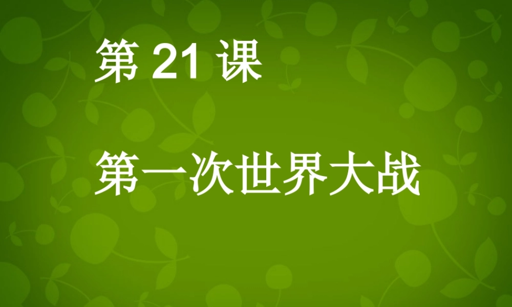 九年级历史上册 第七单元(第21课 第一次世界大战)课件 新人教版 课件