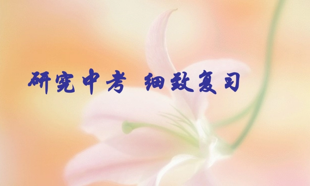 中考语文研究中考  细致复习 试题