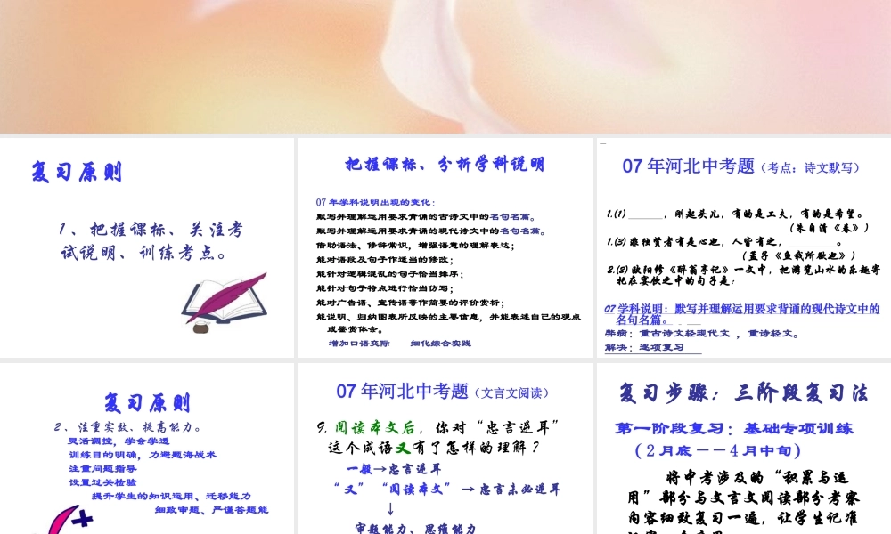 中考语文研究中考  细致复习 试题