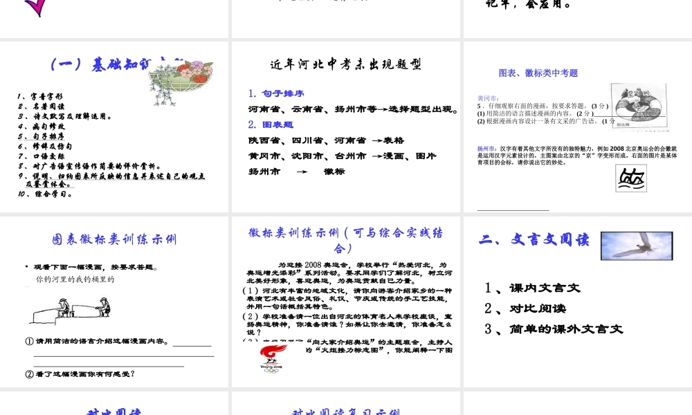 中考语文研究中考  细致复习 试题