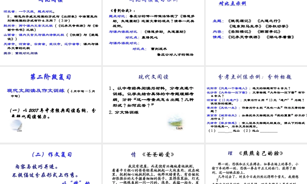 中考语文研究中考  细致复习 试题