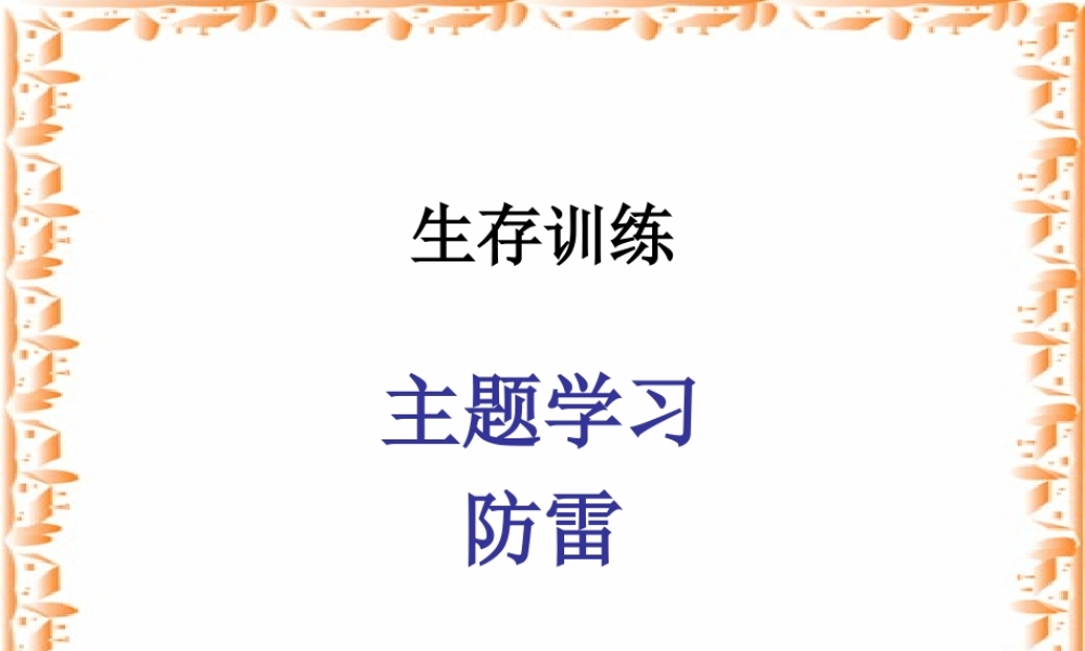 中考语文生存训练主题 防雷 课件