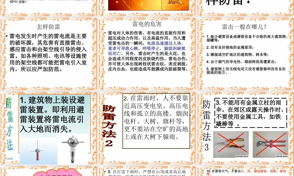 中考语文生存训练主题 防雷 课件