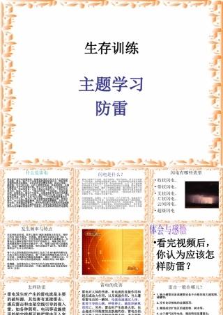 中考语文生存训练主题 防雷 课件