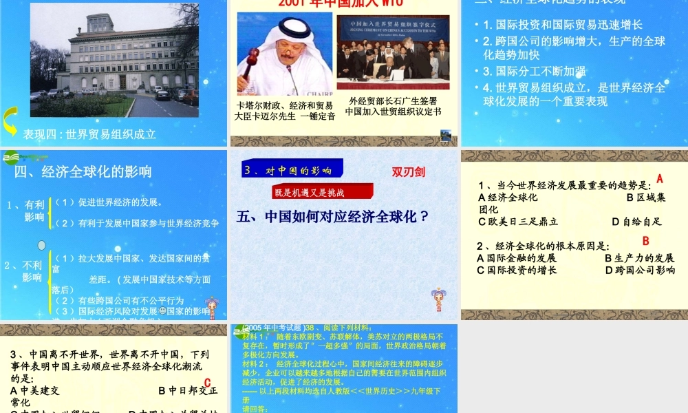 九年级历史下册 世界经济的全球化课件 人教新课标版 课件