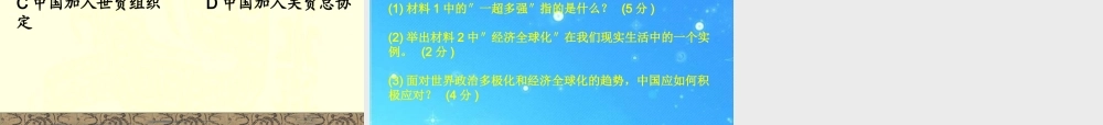 九年级历史下册 世界经济的全球化课件 人教新课标版 课件