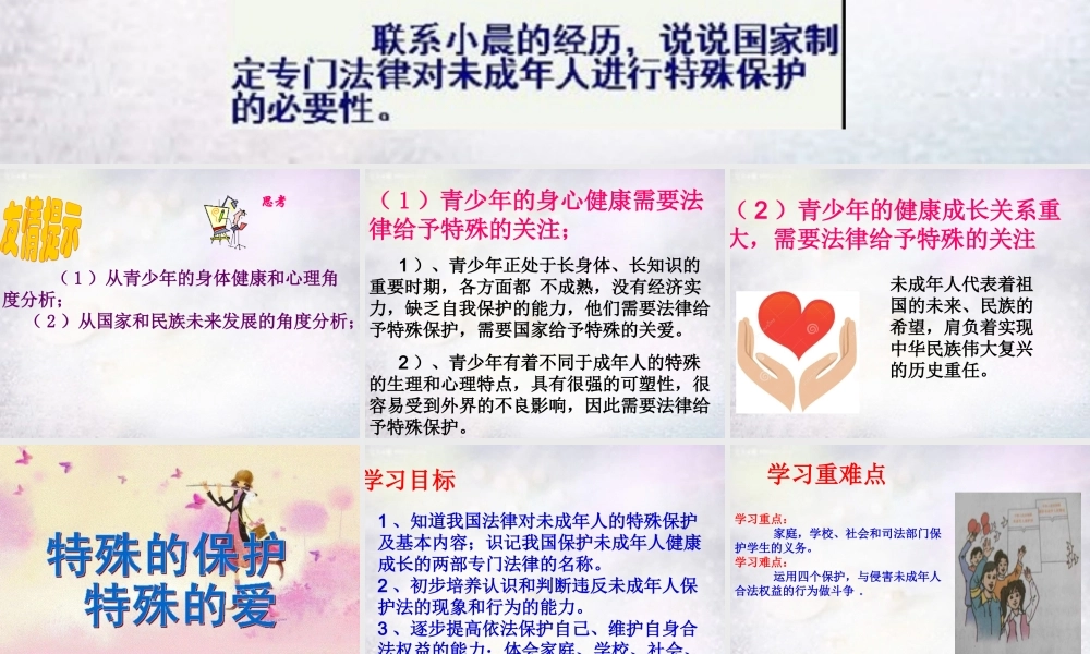 七年级政治下册 第八课 第1框 特殊的保护特殊的爱课件 新人教版 课件