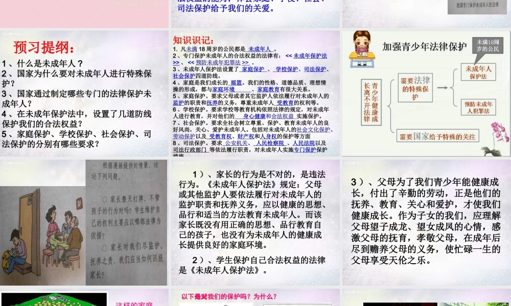 七年级政治下册 第八课 第1框 特殊的保护特殊的爱课件 新人教版 课件