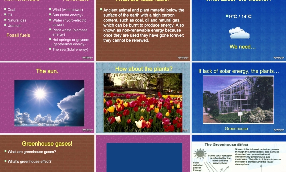 unit 4 reading book 6-人教版[原创] 课件