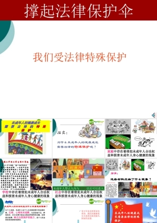 七年级政治我们受法律的特殊的保护课件鲁教版 课件