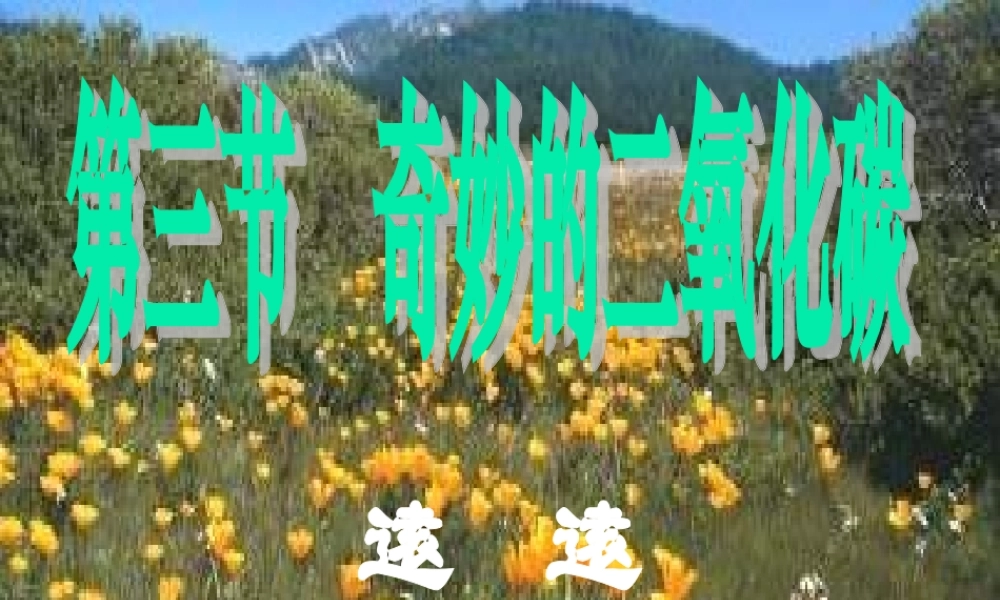 九年级化学奇妙的二氧化碳1课件