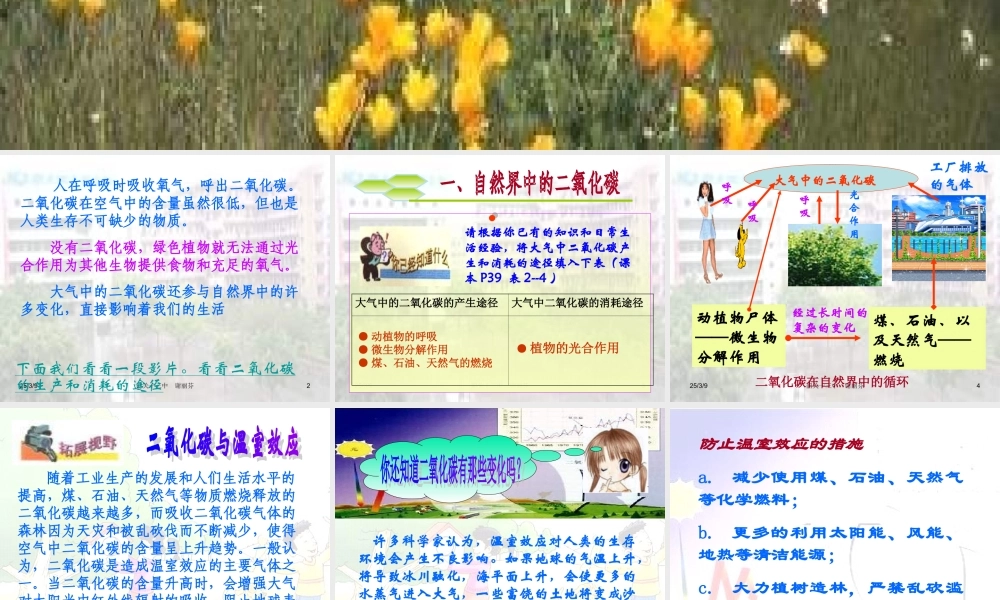 九年级化学奇妙的二氧化碳1课件