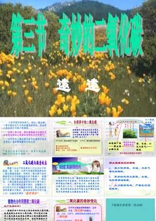 九年级化学奇妙的二氧化碳1课件