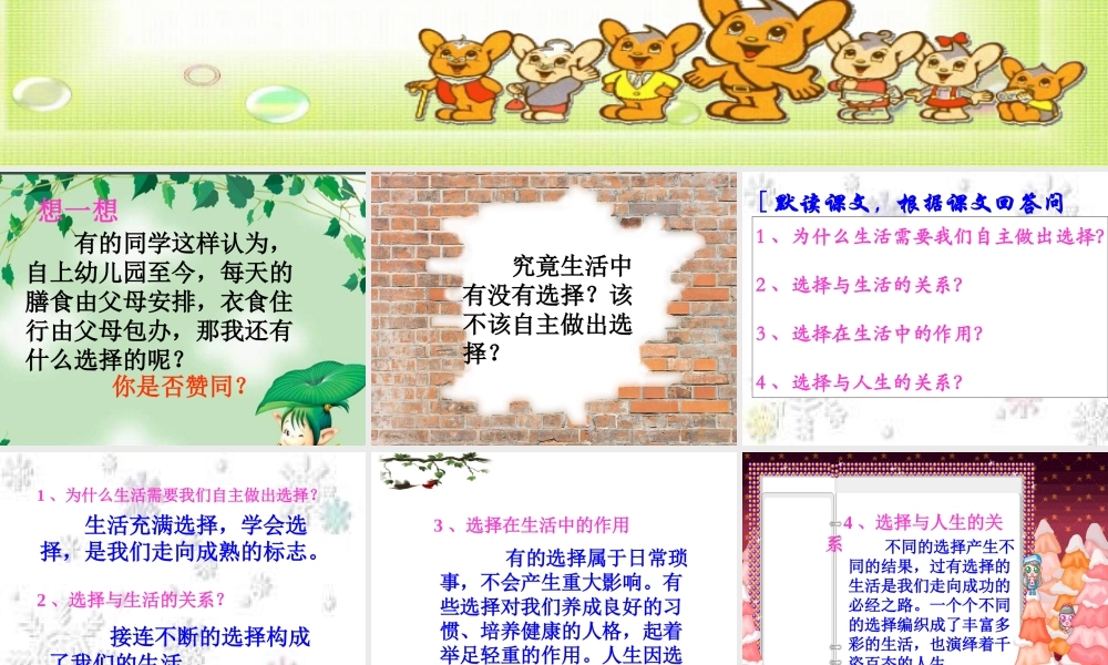 七年级政治 生活与选择 课件