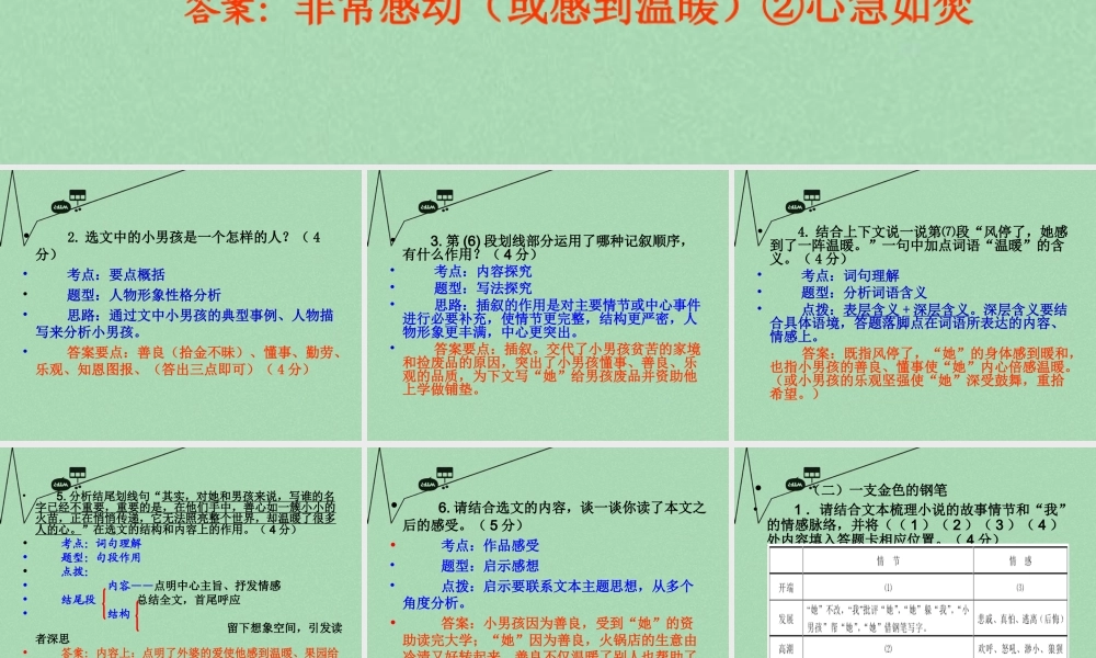 中考语文 考点技法点拨 记叙文与文学作品阅读 第9 11课时课件