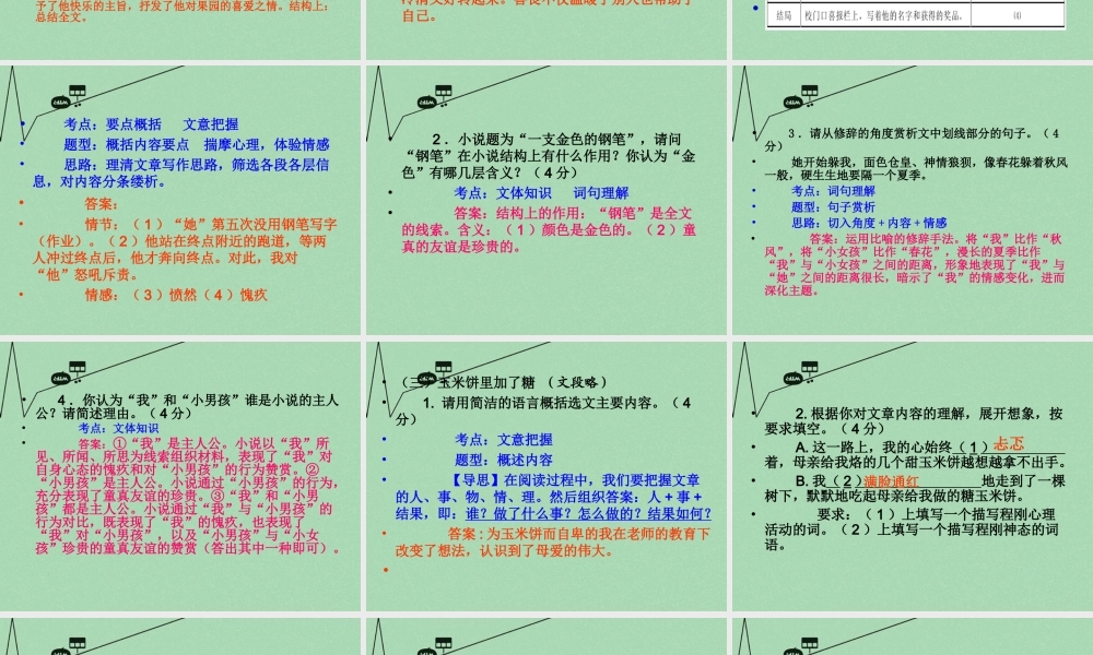 中考语文 考点技法点拨 记叙文与文学作品阅读 第9 11课时课件